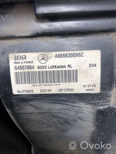 Mercedes-Benz Sprinter W906 Oro filtro dėžė A9068300962