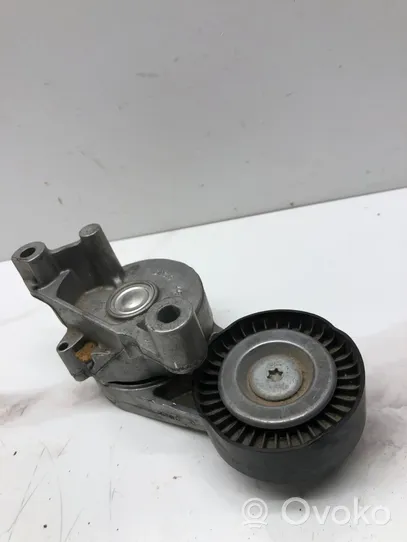 Volkswagen PASSAT B6 Napinacz paska alternatora 