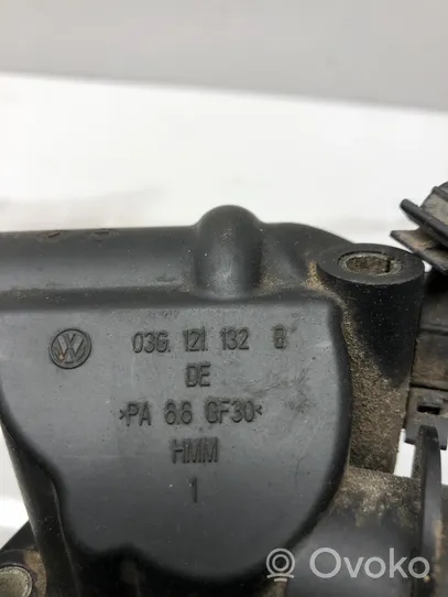 Volkswagen PASSAT B6 Termostatas/ termostato korpusas 03G121132B