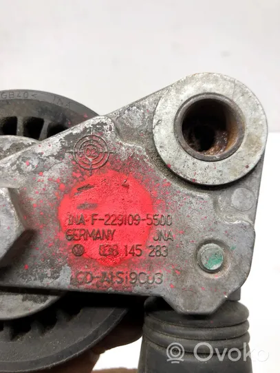 Audi A4 S4 B6 8E 8H Napinacz paska wielorowkowego / Alternatora 038145283