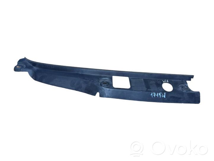 BMW 3 GT F34 Wiper trim 51767295008