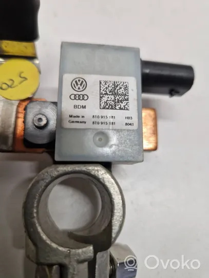 Audi A4 S4 B8 8K Minuskabel Massekabel Batterie 8T0915181