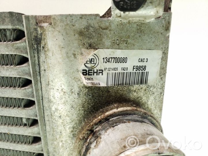 Fiat Ducato Starpdzesētāja radiators 1347700080