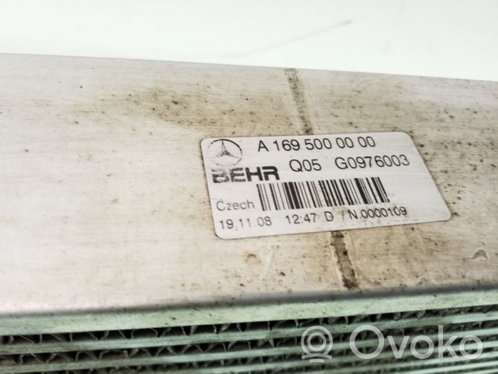 Mercedes-Benz B W245 Interkūlerio radiatorius A1695000400