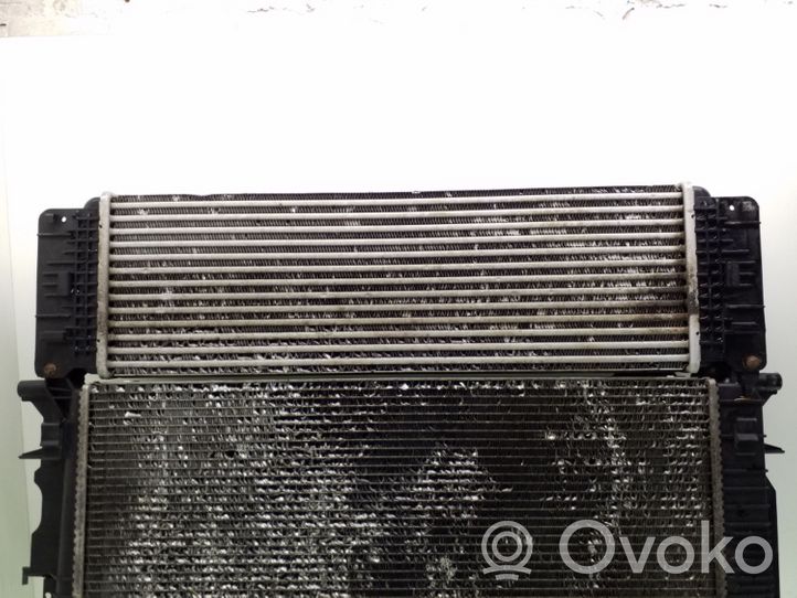 Volkswagen Crafter Intercooler radiator 2E0145804A