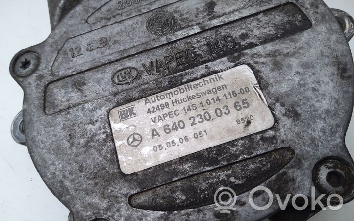 Mercedes-Benz A W169 Pompe à vide A6402300365