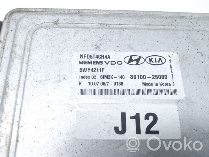 Hyundai Sonata Engine control unit/module 3910025080