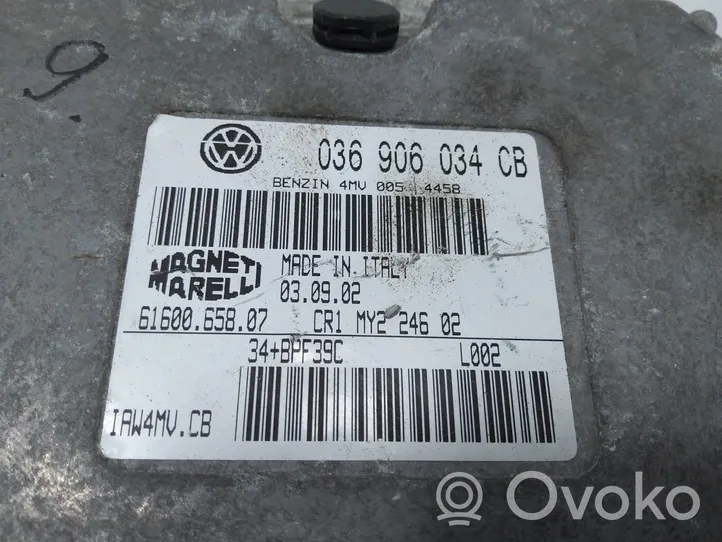 Skoda Fabia Mk1 (6Y) Galios (ECU) modulis 036906034CB