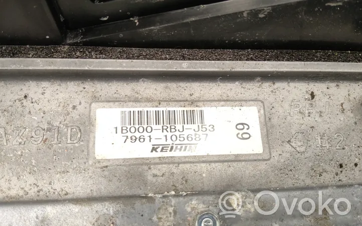 Honda Insight Bateria pojazdu hybrydowego / elektrycznego 1B000RBJJ53