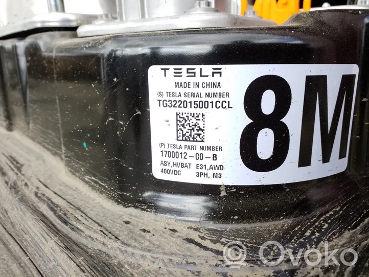 Tesla Model 3 Batteria di veicolo ibrido/elettrico 170001200B