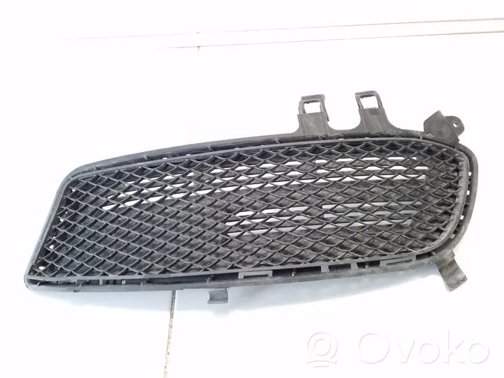 Mercedes-Benz A W176 Grille antibrouillard avant A1768851622