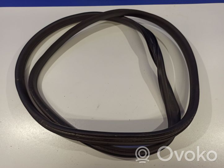 Volvo XC60 Rubber seal rear door 31424325