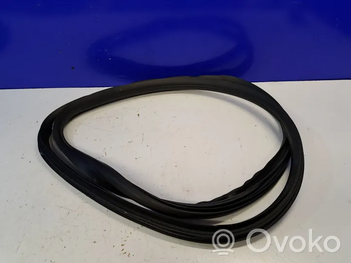 Volvo S60 Rubber seal front coupe door 31424017