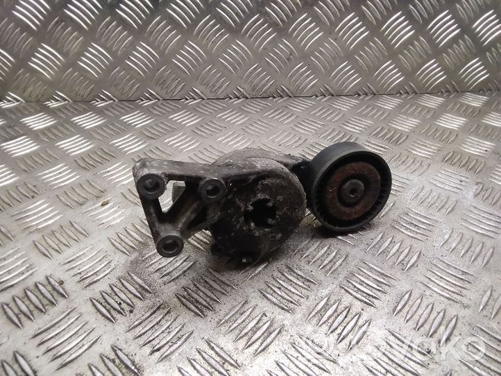 Volkswagen Lupo Napinacz paska alternatora 06A903315E