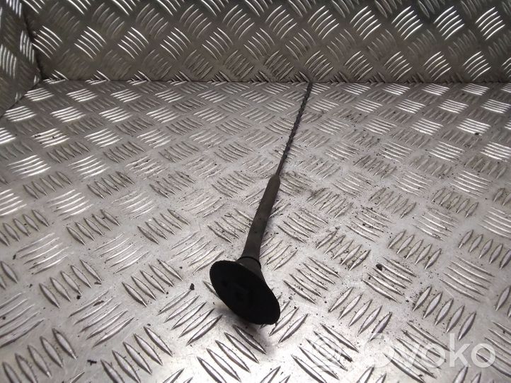 Nissan Qashqai Radio antenna 