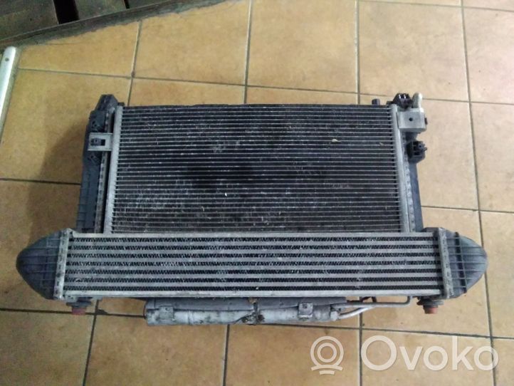 Mercedes-Benz A W169 Set del radiatore A1695000000