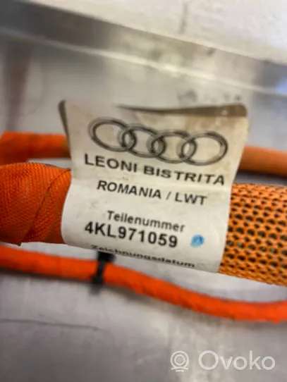 Audi e-tron Kiti laidai/ instaliacija 4KL971059