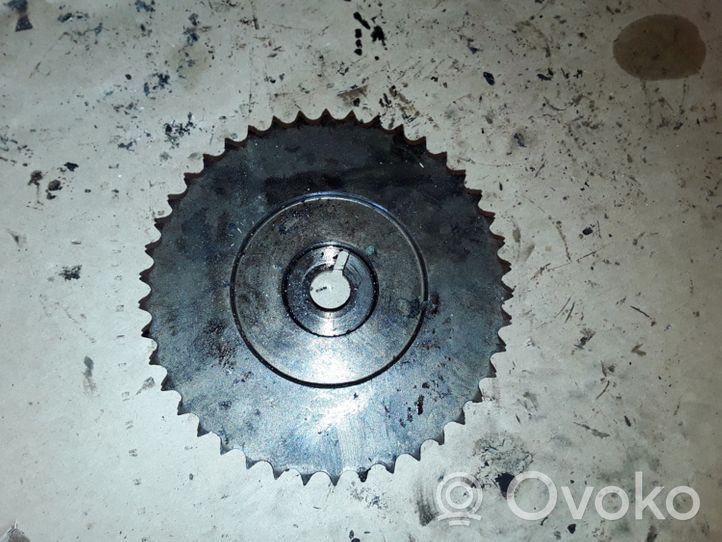 Opel Antara Camshaft pulley/ VANOS 96868161