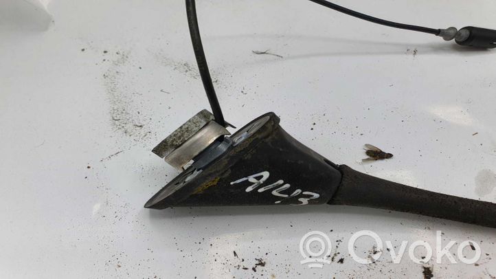 Seat Leon (1M) Antena radiowa 