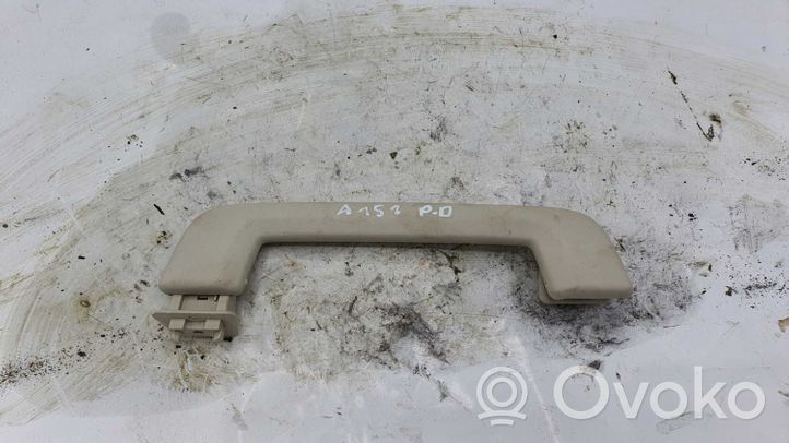 Land Rover Range Rover Sport L320 Maniglia interna tetto anteriore 168000260