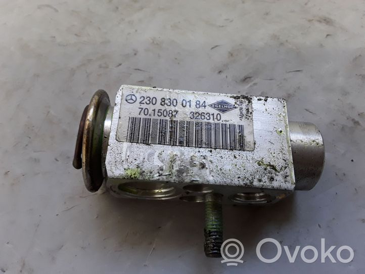 Mercedes-Benz ML W164 Détendeur de climatisation 2308300184