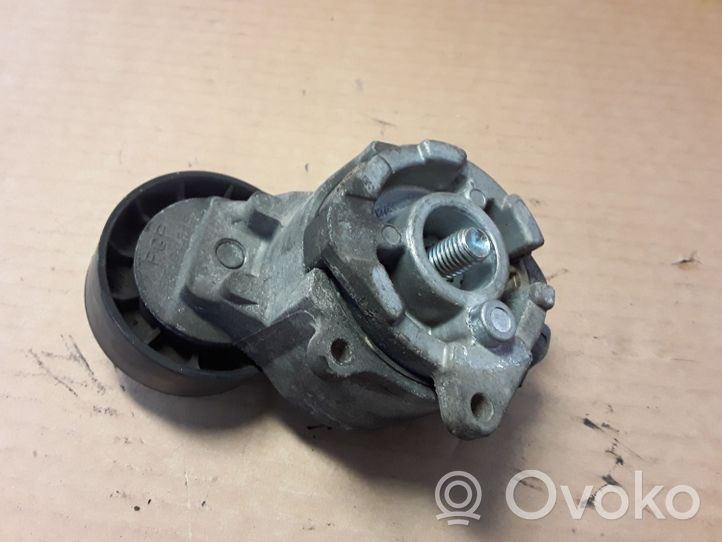 Suzuki SX4 Tendicinghia generatore/alternatore TF058E