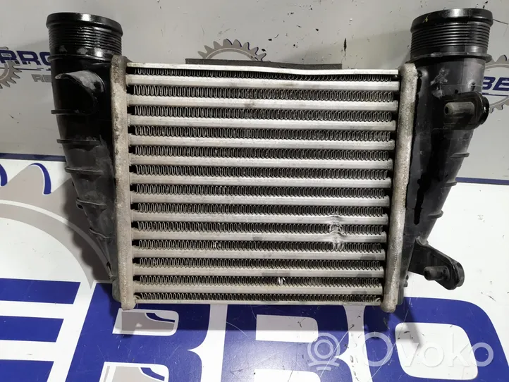 Seat Exeo (3R) Intercooler radiator 8E0145806