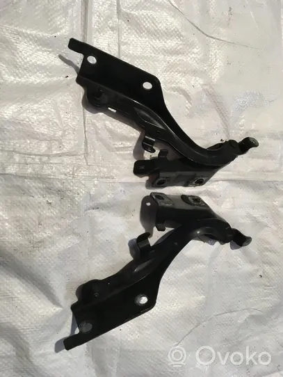 Infiniti EX Engine bonnet/hood hinges KOLOR