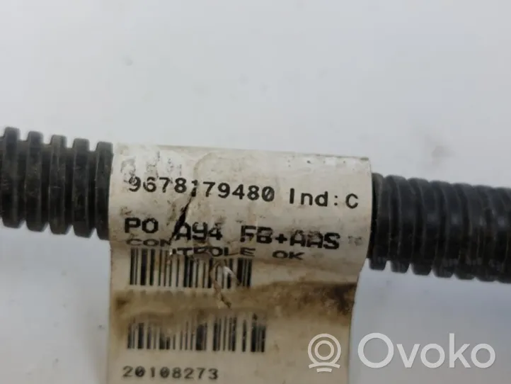 Peugeot 2008 I Radioantenne 9678179480