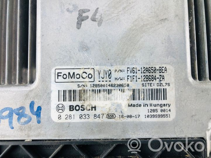 Ford Transit -  Tourneo Connect Centralina/modulo motore ECU F1F112B684ZA