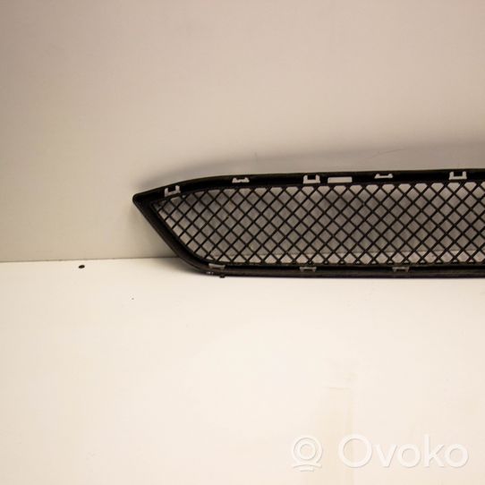 BMW X1 E84 Front bumper lower grill 730375351117303753