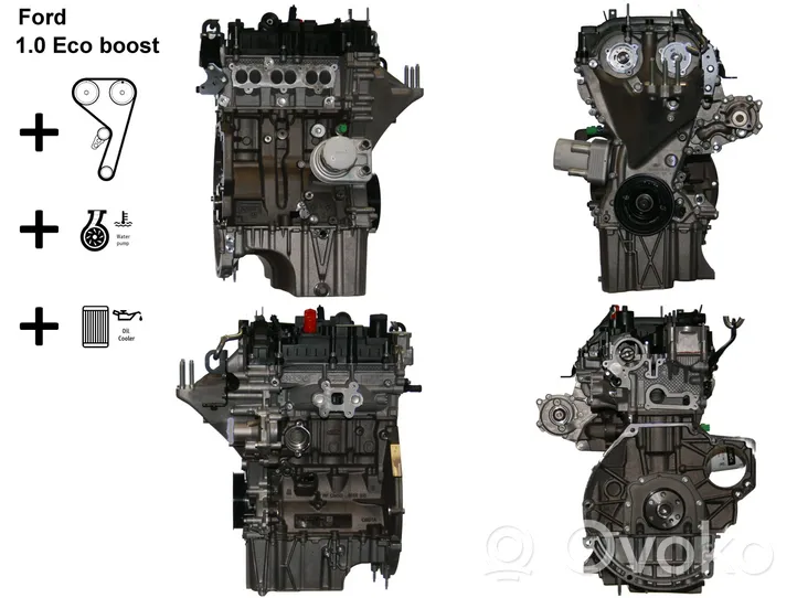 Ford Fiesta Silnik / Komplet SFJB