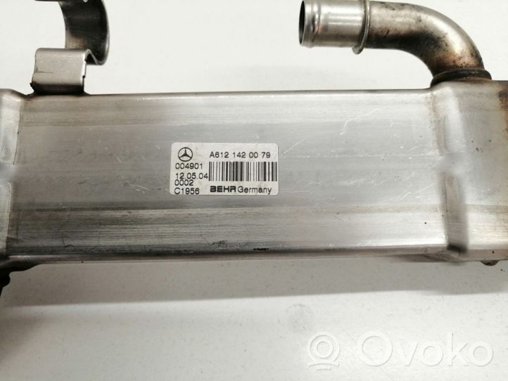 Mercedes-Benz ML W163 EGR-venttiili/lauhdutin A6121420079