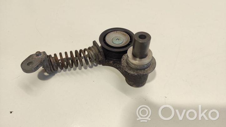 Citroen C6 Tendicinghia dell’alternatore 4U3Q6A228AE