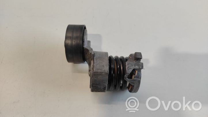 Skoda Fabia Mk1 (6Y) Napinacz paska alternatora 03631000