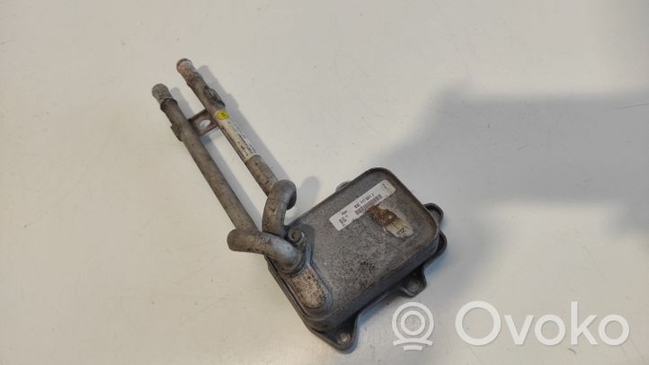 Volkswagen Touran I Radiatore dell’olio del motore 03C117021J