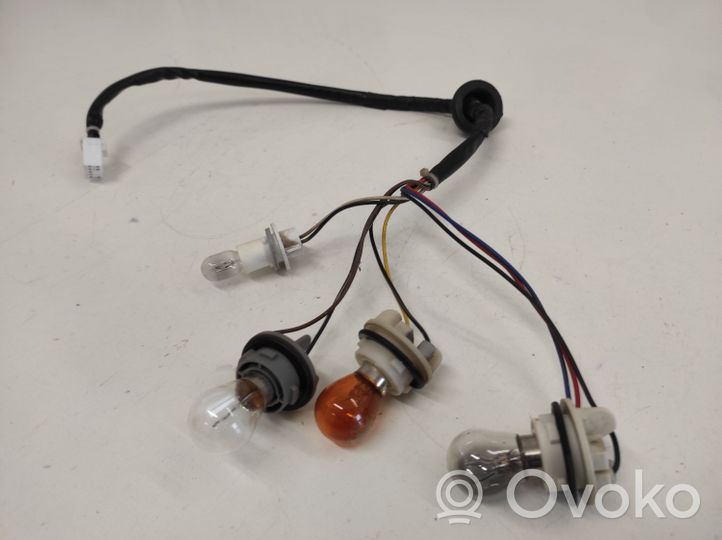 Chevrolet Captiva Element lampy tylnej 