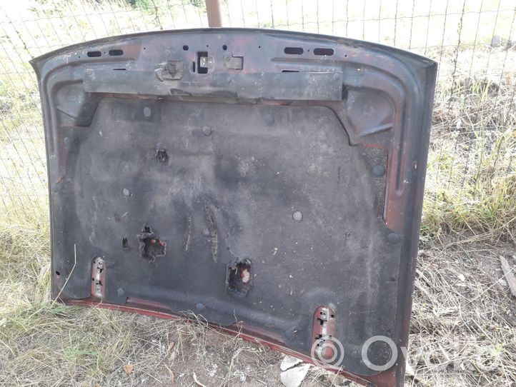 Ford Explorer Engine cover (trim) 