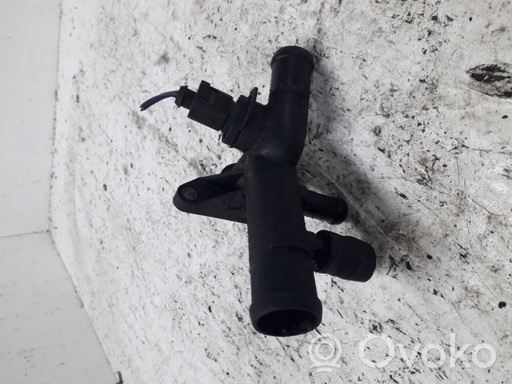 Volkswagen New Beetle Coolant level sensor 4B0973712