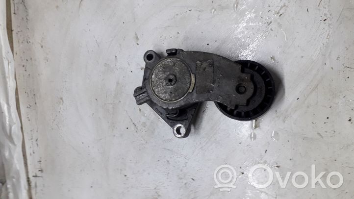 Volvo S40 Napinacz paska alternatora 846143