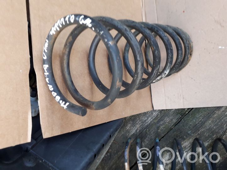 Hyundai Sonata Rear coil spring 