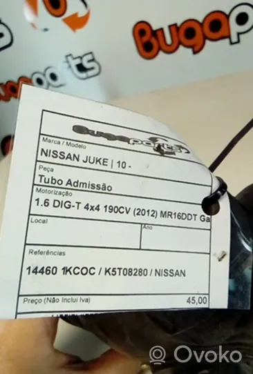 Nissan Juke I F15 Žarna (-os)/ vamzdis (-džiai) 