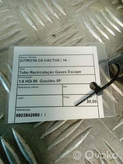 Citroen C4 Cactus EGR valve 