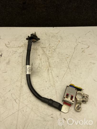 Volkswagen Crafter Positive cable (battery) A9064401066