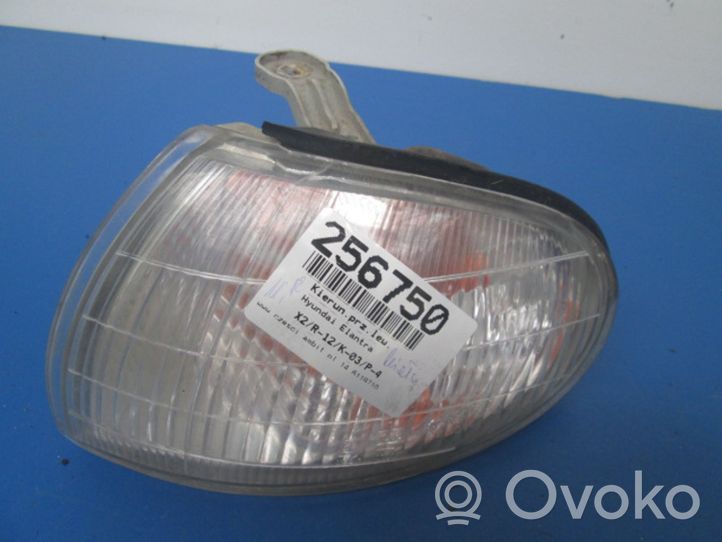 Hyundai Elantra Front indicator light 