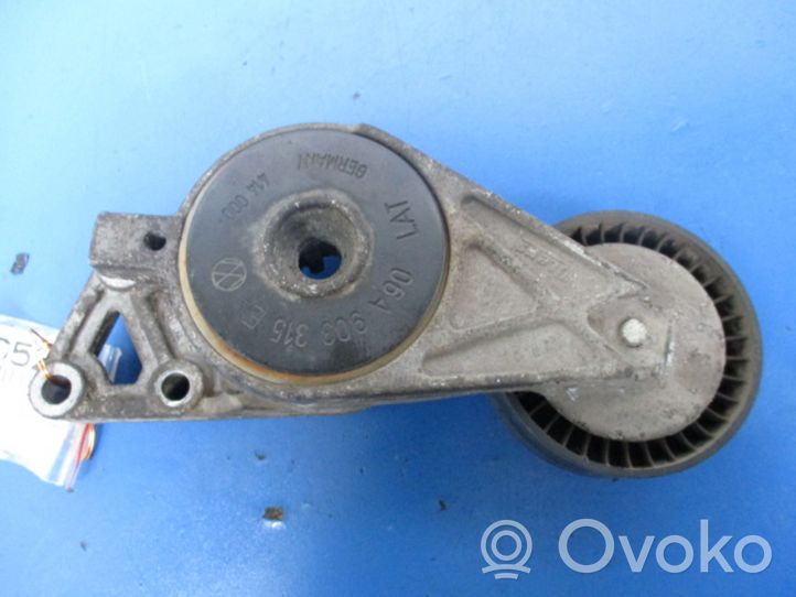 Skoda Octavia Mk2 (1Z) Timing belt/chain tensioner 06A903315E