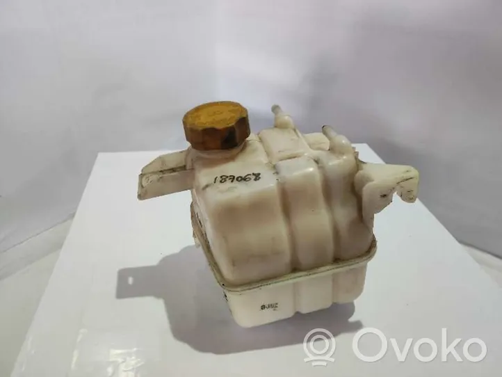 Chevrolet Captiva Vase d'expansion de carburant 