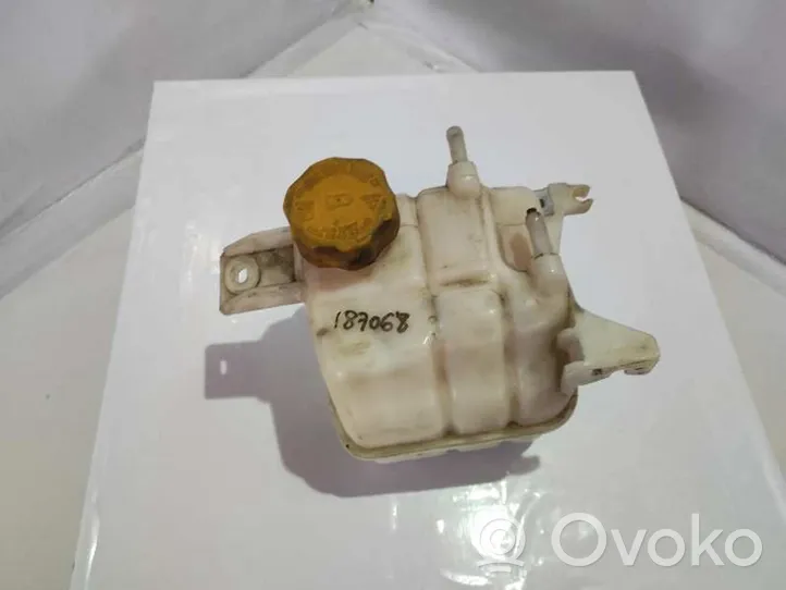 Chevrolet Captiva Vase d'expansion de carburant 