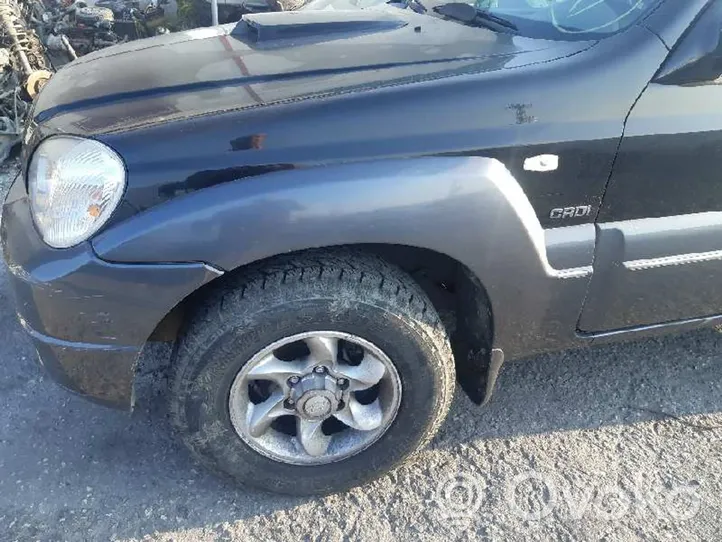 Hyundai Terracan Parafango 