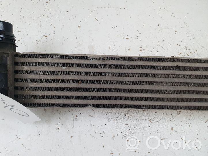 Renault Megane III Chłodnica powietrza doładowującego / Intercooler 